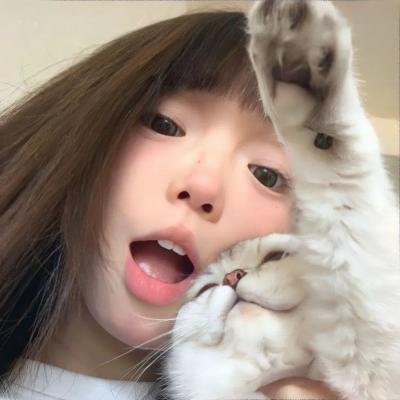 大瓷商